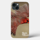 Search for red birds ipad cases Bird watching