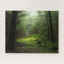 Search for forest puzzles Wildlife