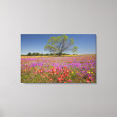 Search for wildflower canvas prints North america