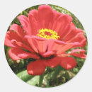 Search for zinnias stickers Yellow