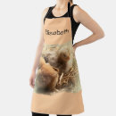 Search for feathers aprons Isolated