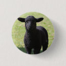 Recherche de moutons noirs badges Mouton noir
