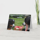 Recherche de bernese vœux cartes Chiot