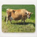 Recherche de normandie tapis souris Vache