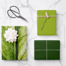 Search for eco wrapping paper Green