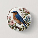Search for perched buttons Wildlife