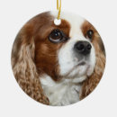 Search for cavalier king charles spaniel ornaments Pet