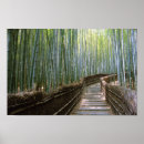 Recherche de arashiyama posters Bambou