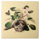 Recherche de nid d carreaux Arbre