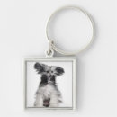 Search for photo studio keychains Dog