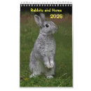 Recherche de lapin calendriers Animal