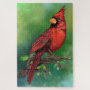 Search for red cardinal bird puzzles Watercolor