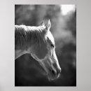 Search for pop art horse posters Animal