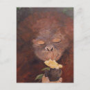 Search for precious postcards Nature