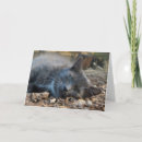 Search for love cats cards Happy mother's day