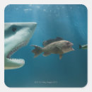 Search for contrast stickers Nature