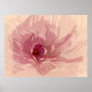 Search for cosmo posters Flower