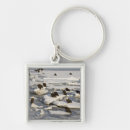Search for homer accessories Bald eagle