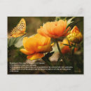 Recherche de chan cartes postales Pour tous