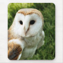 Search for barn mousepads Animal