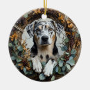 Search for catahoula ornaments Leopard