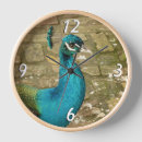 Recherche de oiseau bleu horloges Photographie