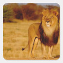 Search for habitat stickers Wildlife