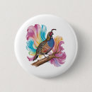 Search for quail buttons Animal
