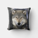 Search for canis Fauna