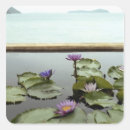 Search for water lily pond stickers Lake