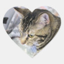 Search for heart cat stickers Grey