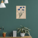 Recherche de naturalistes posters Illustration naturaliste