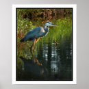 Search for nature art Birds