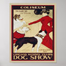 Search for collie pet posters Pets