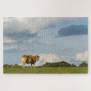 Recherche de viande puzzles Vache