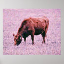 Search for angus cow posters Ranch