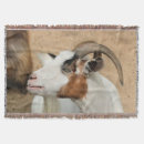 Search for goat blankets Horns