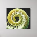Search for electron micrography posters Life science