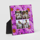 Search for daisies plaques Daisy