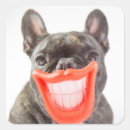 Search for smiling dog stickers Adorable