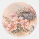 Search for bird nest stickers Pink