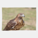 Recherche de rapace cuisine linges Faune