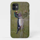 Search for swimming duck iphone cases Nature