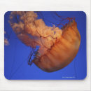 Recherche de méduses tapis souris Animaux