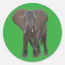 Search for african wildlife stickers Kenya