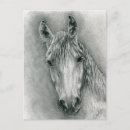 Recherche de greco cartes postales Animal