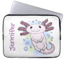 Search for salamander cases Amphibian
