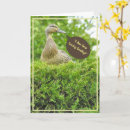 Search for duck fathers day cards Photography