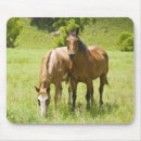 Search for derby mousepads Pictures of horses