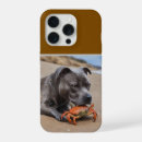 Search for crab phone cases Funny